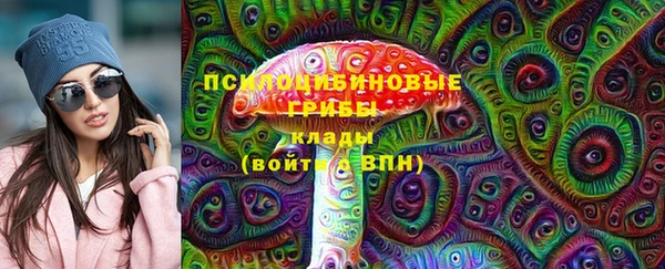 гидра Кодинск