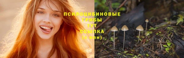 ПСИЛОЦИБИНОВЫЕ ГРИБЫ Богородицк