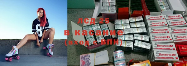 ПСИЛОЦИБИНОВЫЕ ГРИБЫ Богородицк